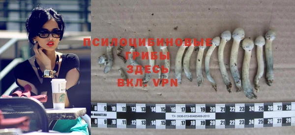 ALPHA PVP Белокуриха