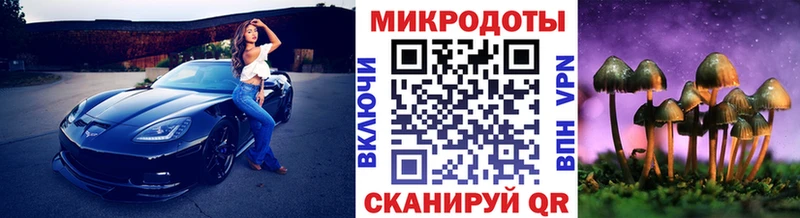 hydra   наркотики  Володарск  Галлюциногенные грибы Psilocybe 
